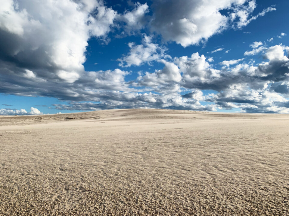 Dramatic sand dunes under a low sun